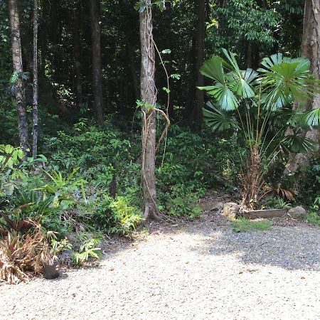 Forest Views Diwan Bagian luar foto