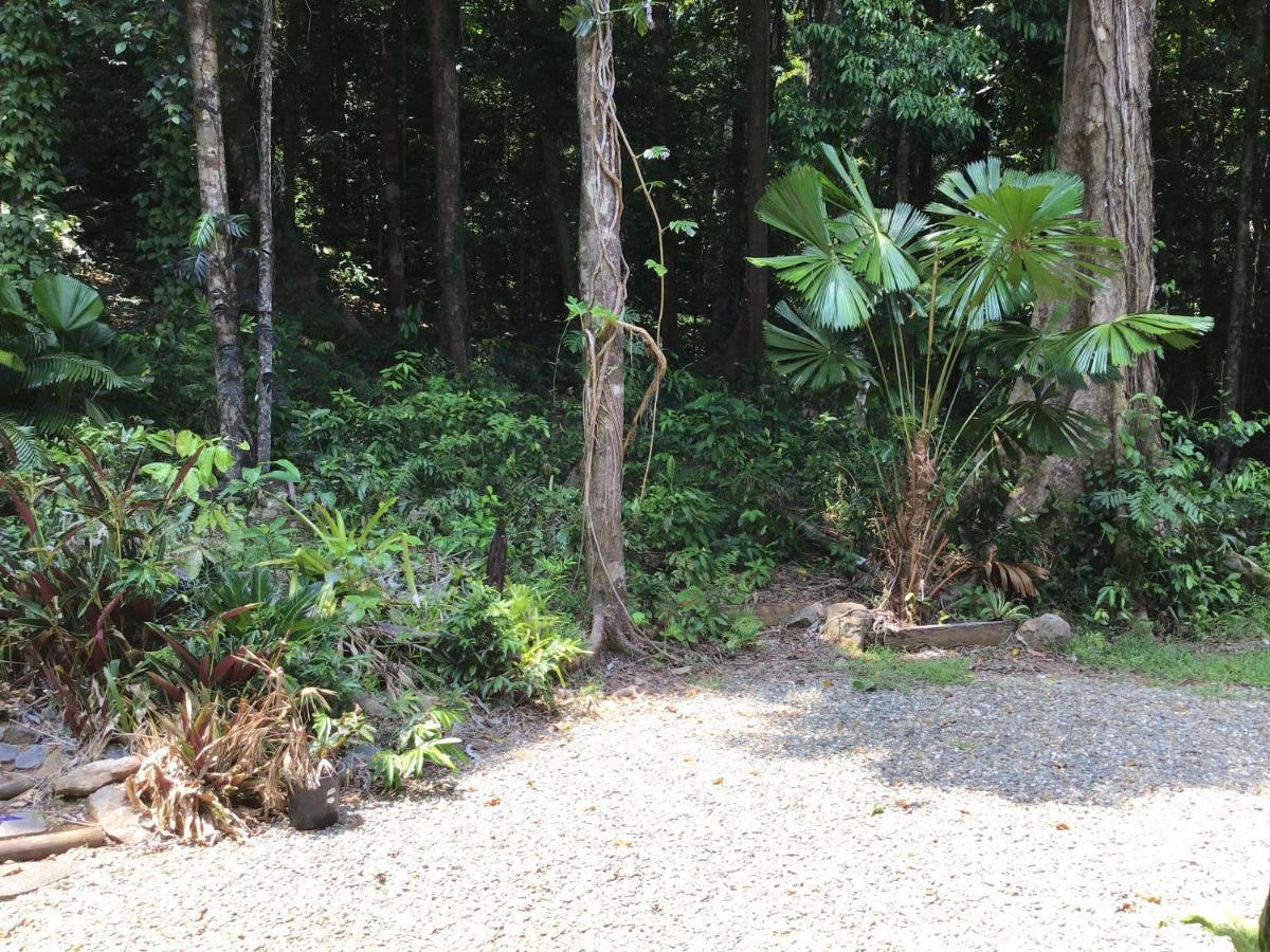 Forest Views Diwan Bagian luar foto